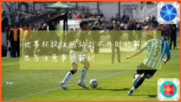 世界杯投注网站打不开时的解决方法与注意事项解析