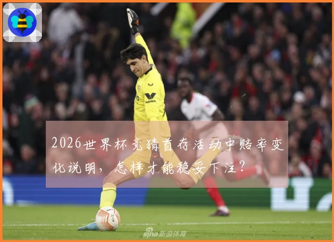 2026世界杯竞猜首存活动中赔率变化说明，怎样才能稳妥下注？