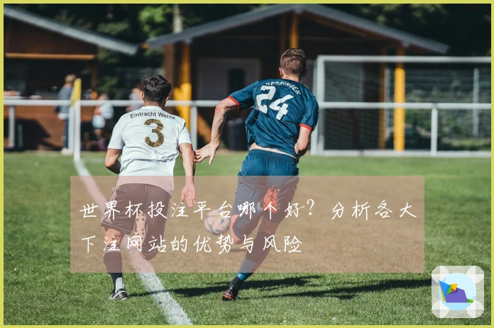 世界杯投注平台哪个好？分析各大下注网站的优势与风险